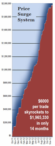 Price Surge System