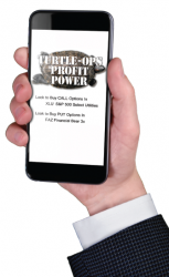 Turtle-Ops Profit Power Guide - Daily Forecast